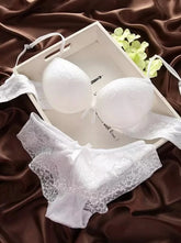Lingerie Lace Bra Gather Push Up Underwear Bra And Panty Set