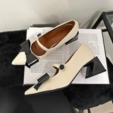 Bow Pointed Toe Mary Jane Shoes Chunky Heel Elegant Office Shoes Comfy Pumps Fashions Retro High Heels