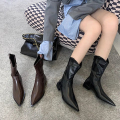 Black Pointed Toe Boots Woman Chunky Shoes Fall High Heels Brown Ankle Boots Back Zipper Shoes