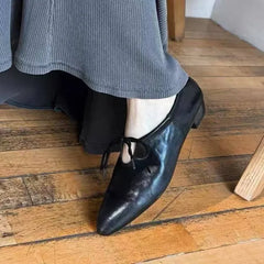 Loafers Retro Pointed Toe Lace-Up Front Soft Sole Comfortable Block Heel Low Heel Small Leather Shoes