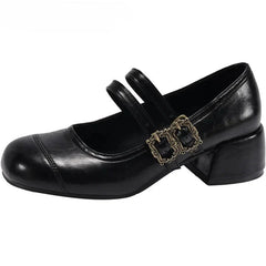 Thick Heel Mary Jane Shoes Metal Buckle Strap Shoes Outdoor Slip On Elegant Dress Pumps
