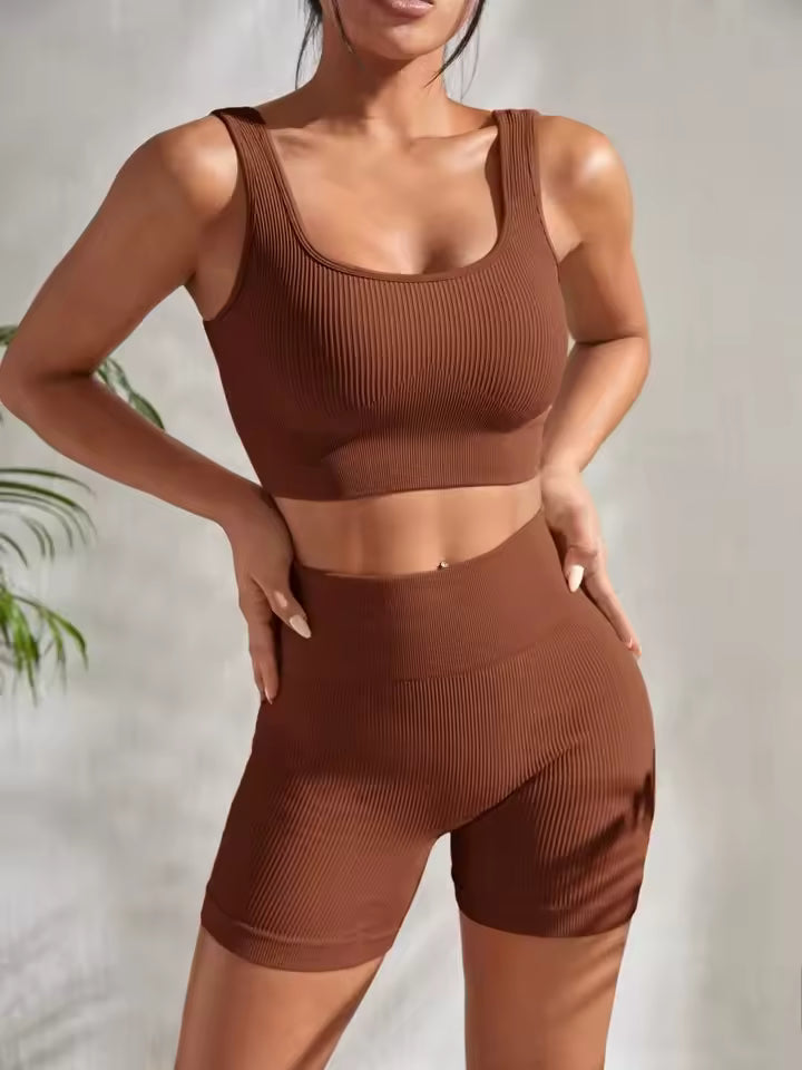 2 Pieces Gym Ribbed Crop Tank High Waist Shorts Seamless Ribbed Yoga Workout Sets