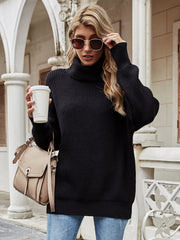 ILLY Turtleneck Basic Knit Sweater - Black