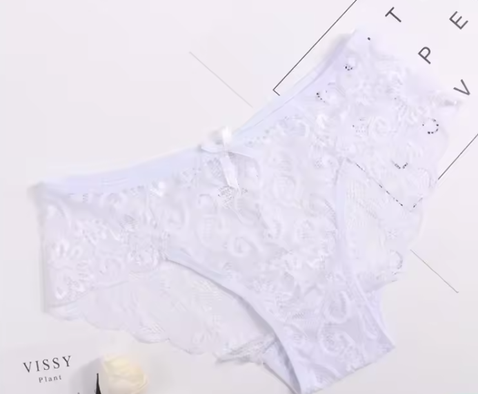 Casual Hollow Out Low Waist Briefs Breathable Lace Transparent Underwear