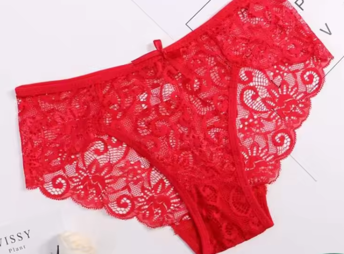 Casual Hollow Out Low Waist Briefs Breathable Lace Transparent Underwear
