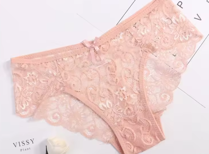 Casual Hollow Out Low Waist Briefs Breathable Lace Transparent Underwear