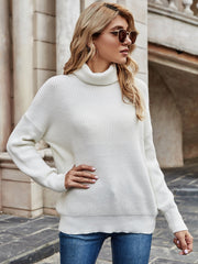 ILLY Turtleneck Basic Knit Sweater - Cream