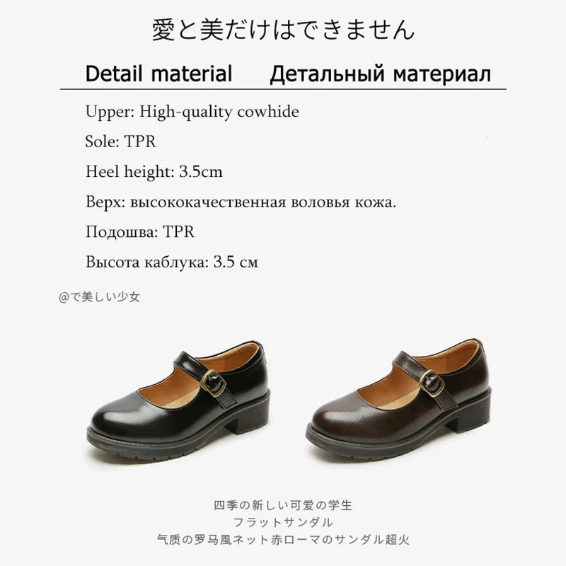 Small Leather Shoes Round Toe High-heeled Retro Leather British College Style Shoes Mary Jane Shoes