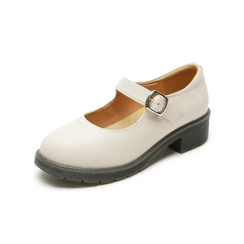 Small Leather Shoes Round Toe High-heeled Retro Leather British College Style Shoes Mary Jane Shoes