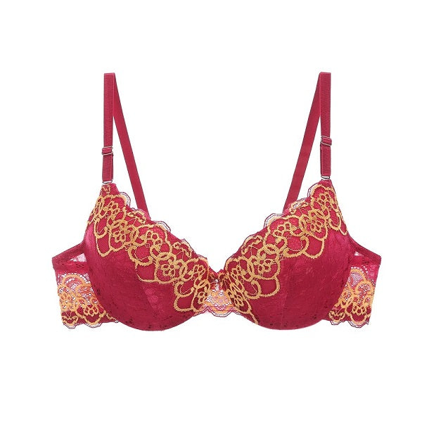 Lace Bra Beauty Back Push Up Bralette Brassiere Underwire Bra