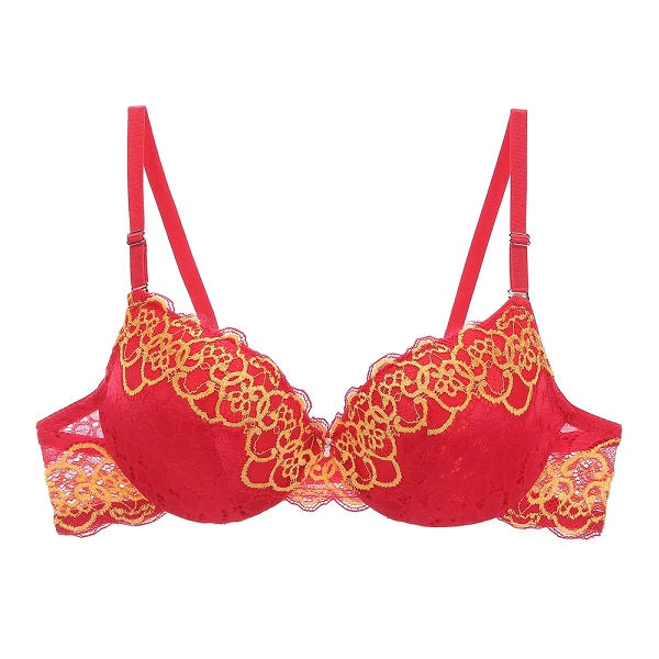 Lace Bra Beauty Back Push Up Bralette Brassiere Underwire Bra