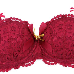 Lace Lingerie Bra Panties Garter Stocking 4pcs Set