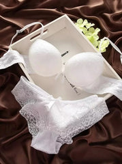 Lingerie Lace Bra Gather Push Up Underwear Bra And Panty Set
