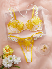 Luxury Sweet Lace Intimate Erotic Beautiful Floral Embroidery Underwear