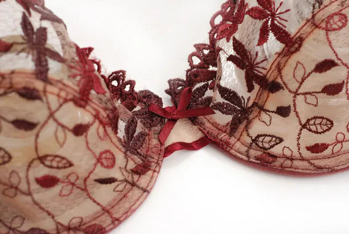 Mesh Lace Push-up Adjusting Embroidery Ultra Thin Bra Lingerie Set