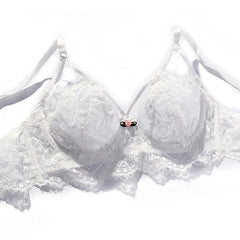Push Up Brassiere Embroidery Lace Underwear Set Transparent Panties