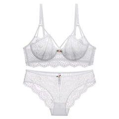 Push Up Brassiere Embroidery Lace Underwear Set Transparent Panties