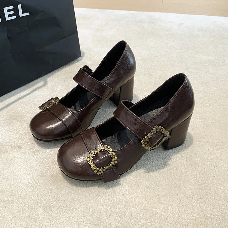 Thick Heel Mary Jane Shoes Metal Buckle Strap Shoes Vintage Dress Leather Pumps