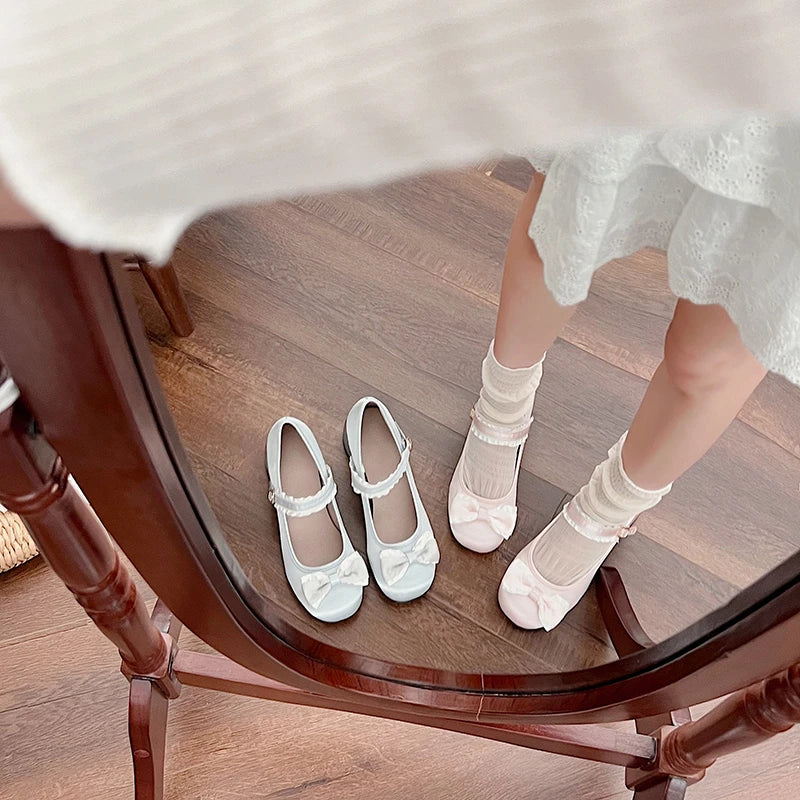 Mary Jane Shoes Shallow Round Toe Mid Heel Shoes Elegant Outdoor Single Pumps Shoes