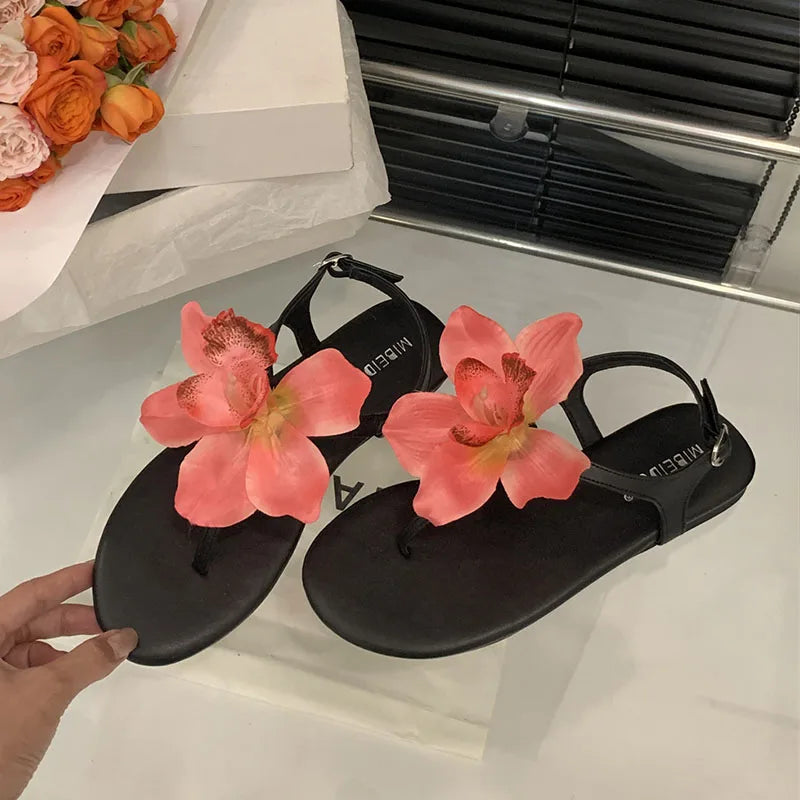Flats Sandals Shoes