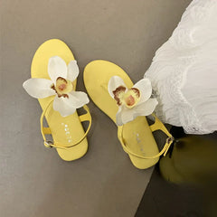 Flats Sandals Shoes