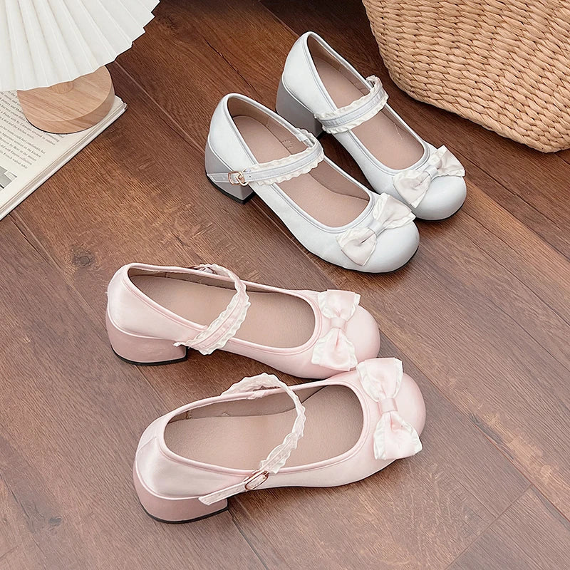 Mary Jane Shoes Shallow Round Toe Mid Heel Shoes Elegant Outdoor Single Pumps Shoes