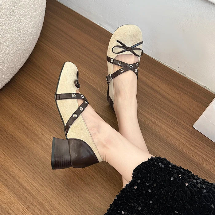 Vintage Thick Heel Mary Jane Shoes Concise Belt Buckle Shoes Elegant Party Dress Pumps