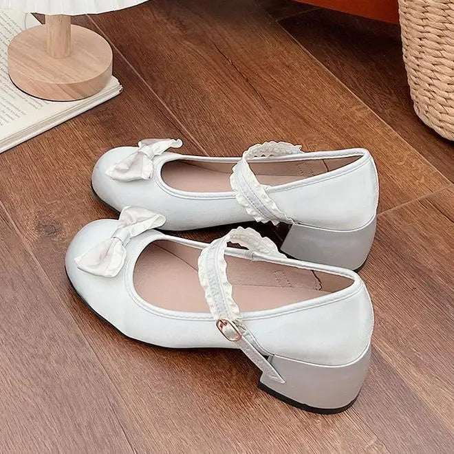 Mary Jane Shoes Shallow Round Toe Mid Heel Shoes Elegant Outdoor Single Pumps Shoes