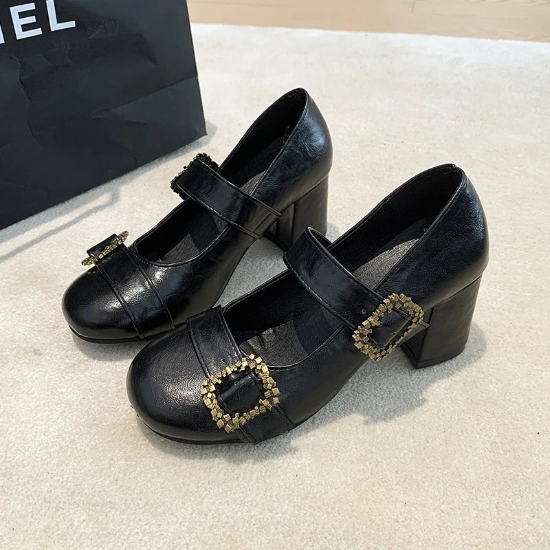 Thick Heel Mary Jane Shoes Metal Buckle Strap Shoes Vintage Dress Leather Pumps