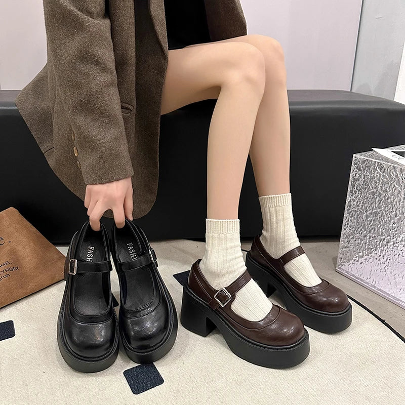 Vintage Platform Thick Bottom Mary Jane Shoes Shallow Round Toe Shoes Elegant Party Leather Shoes