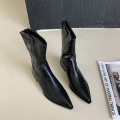 Black Pointed Toe Boots Woman Chunky Shoes Fall High Heels Brown Ankle Boots Back Zipper Shoes