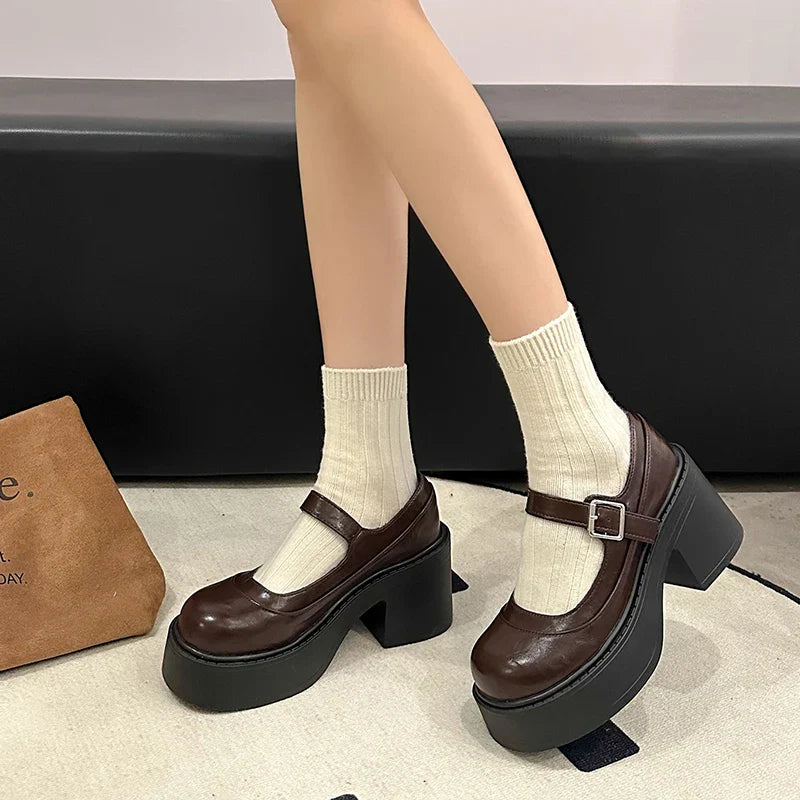 Vintage Platform Thick Bottom Mary Jane Shoes Shallow Round Toe Shoes Elegant Party Leather Shoes