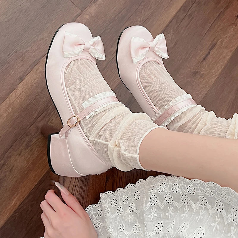 Mary Jane Shoes Shallow Round Toe Mid Heel Shoes Elegant Outdoor Single Pumps Shoes