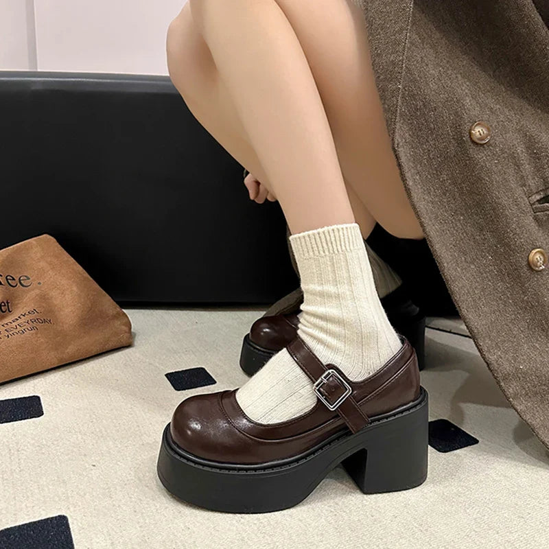 Vintage Platform Thick Bottom Mary Jane Shoes Shallow Round Toe Shoes Elegant Party Leather Shoes
