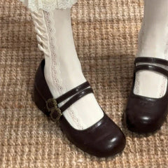 Thick Heel Mary Jane Shoes Metal Buckle Strap Shoes Outdoor Slip On Elegant Dress Pumps