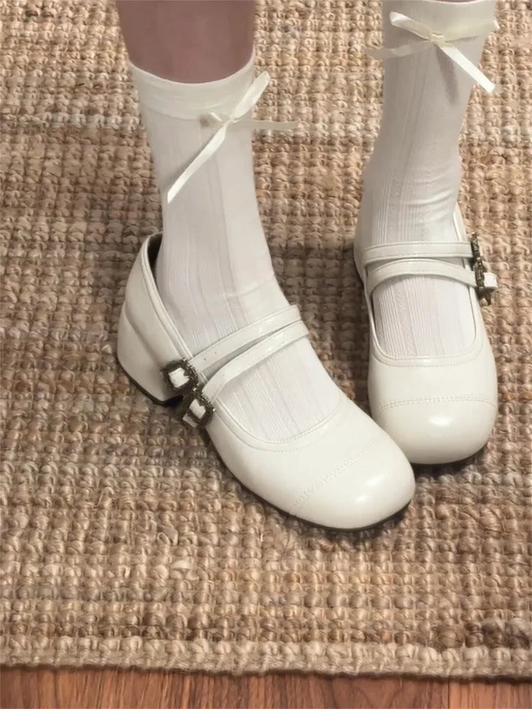 Thick Heel Mary Jane Shoes Metal Buckle Strap Shoes Outdoor Slip On Elegant Dress Pumps