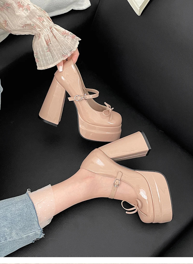 Platform Thick Heel Mary Jane Shoes Butterfly-knot Shoes Outdoor Dress Leather Pumps