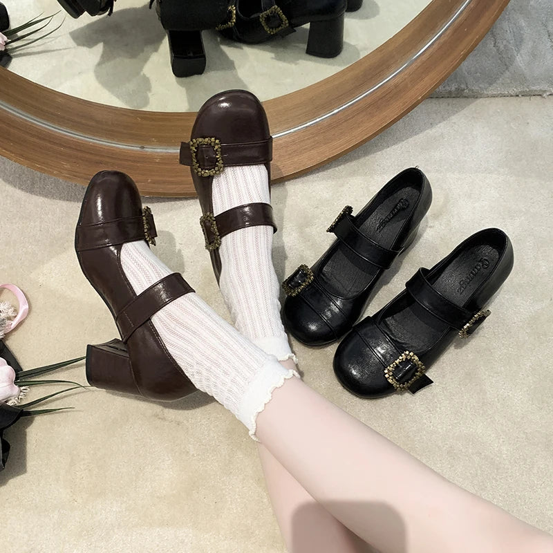 Thick Heel Mary Jane Shoes Metal Buckle Strap Shoes Vintage Dress Leather Pumps