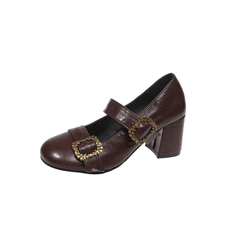 Thick Heel Mary Jane Shoes Metal Buckle Strap Shoes Vintage Dress Leather Pumps