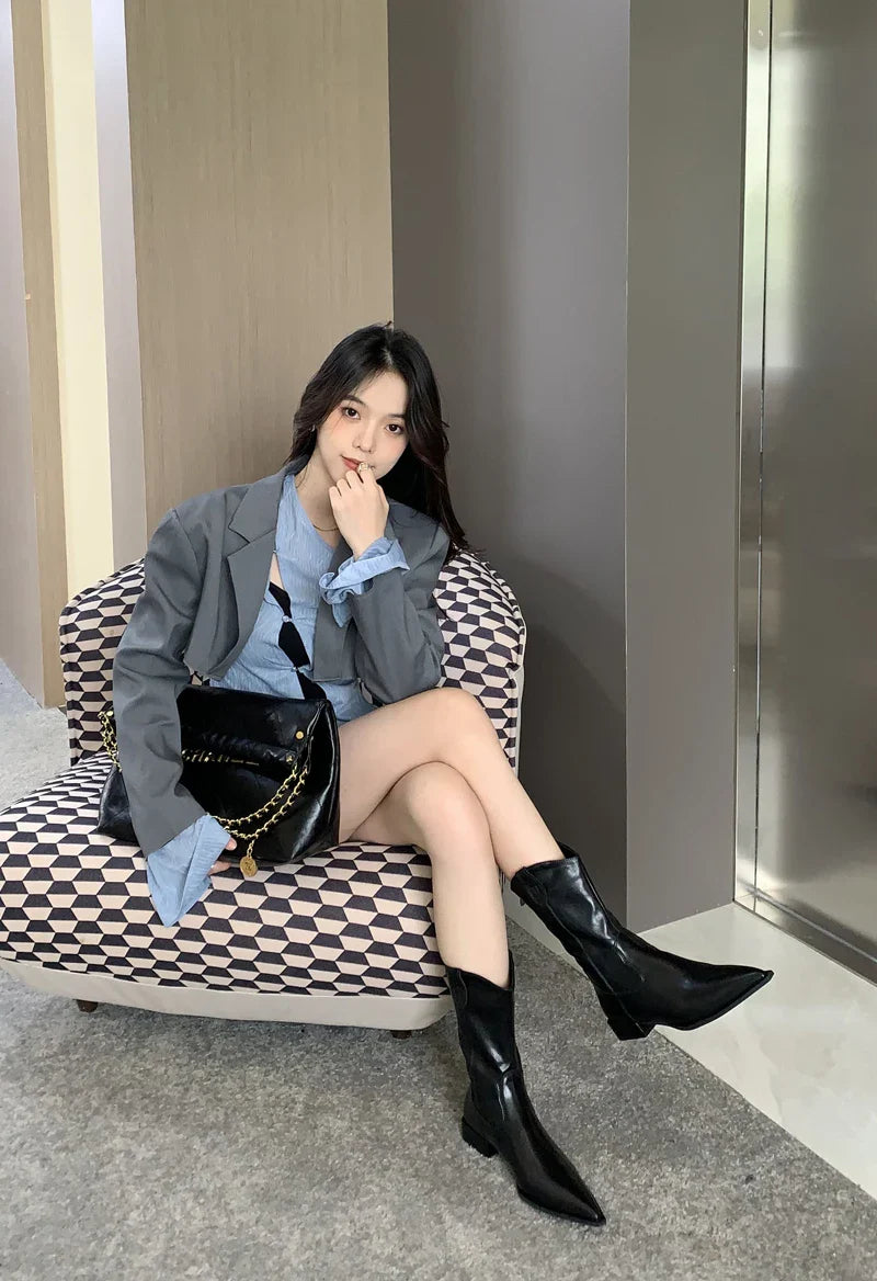 Black Pointed Toe Boots Woman Chunky Shoes Fall High Heels Brown Ankle Boots Back Zipper Shoes