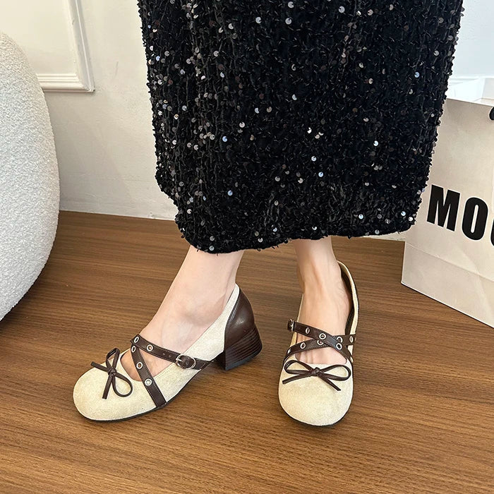 Vintage Thick Heel Mary Jane Shoes Concise Belt Buckle Shoes Elegant Party Dress Pumps