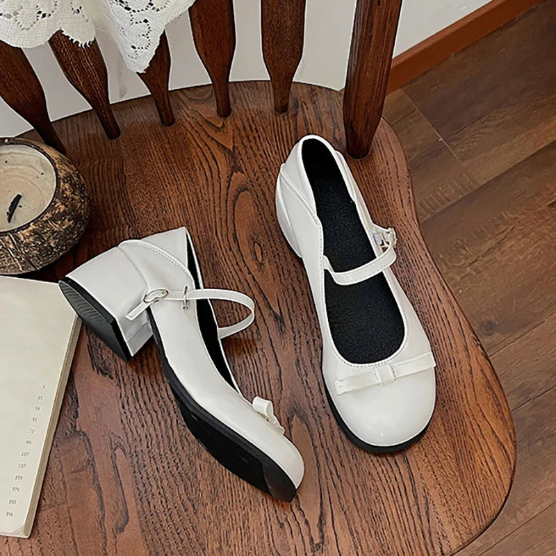 Mary Jane Shoes Elegant Low Heel Shoes Casual Buckle Single Shoes College Style Footwear Single Pumps