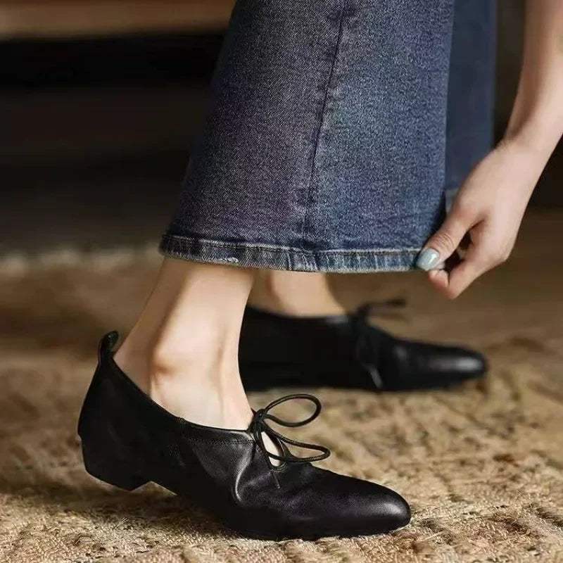 Loafers Retro Pointed Toe Lace-Up Front Soft Sole Comfortable Block Heel Low Heel Small Leather Shoes