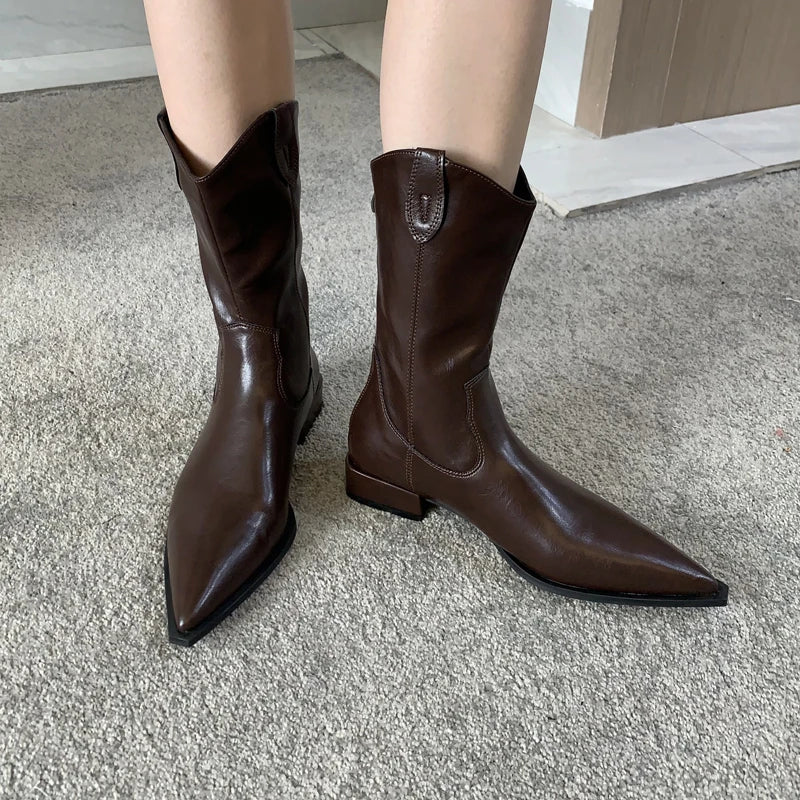 Black Pointed Toe Boots Woman Chunky Shoes Fall High Heels Brown Ankle Boots Back Zipper Shoes
