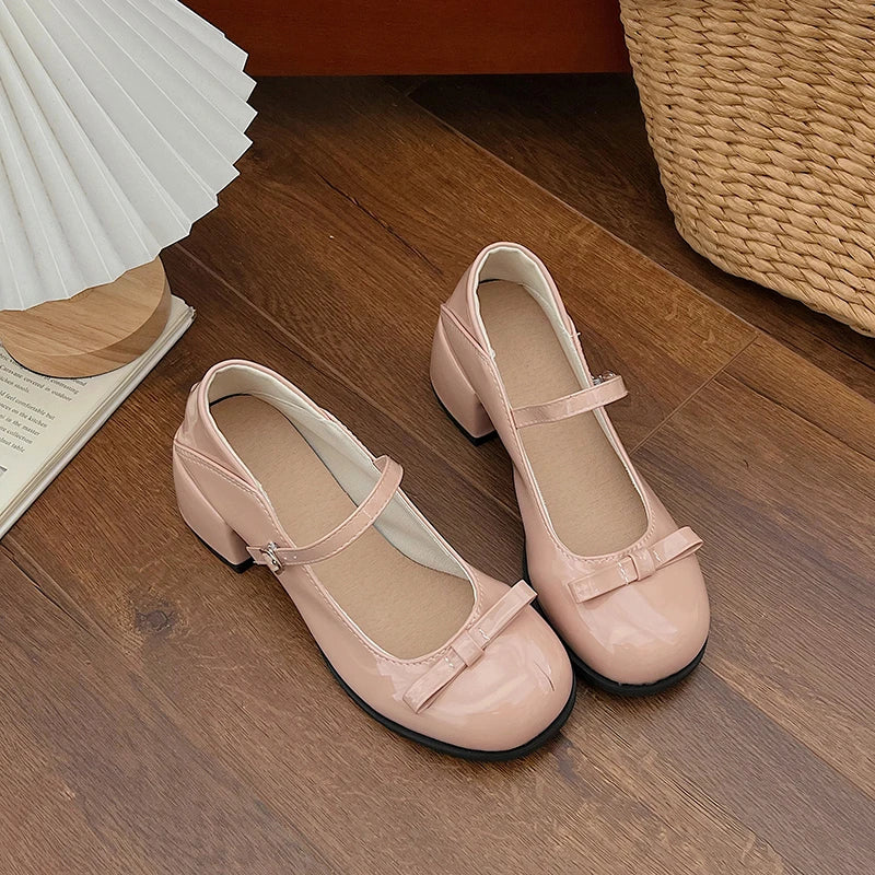 Mary Jane Shoes Elegant Low Heel Shoes Casual Buckle Single Shoes College Style Footwear Single Pumps