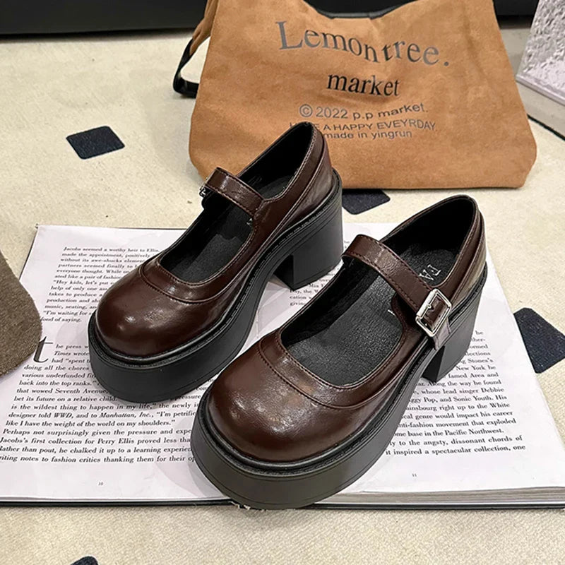 Vintage Platform Thick Bottom Mary Jane Shoes Shallow Round Toe Shoes Elegant Party Leather Shoes
