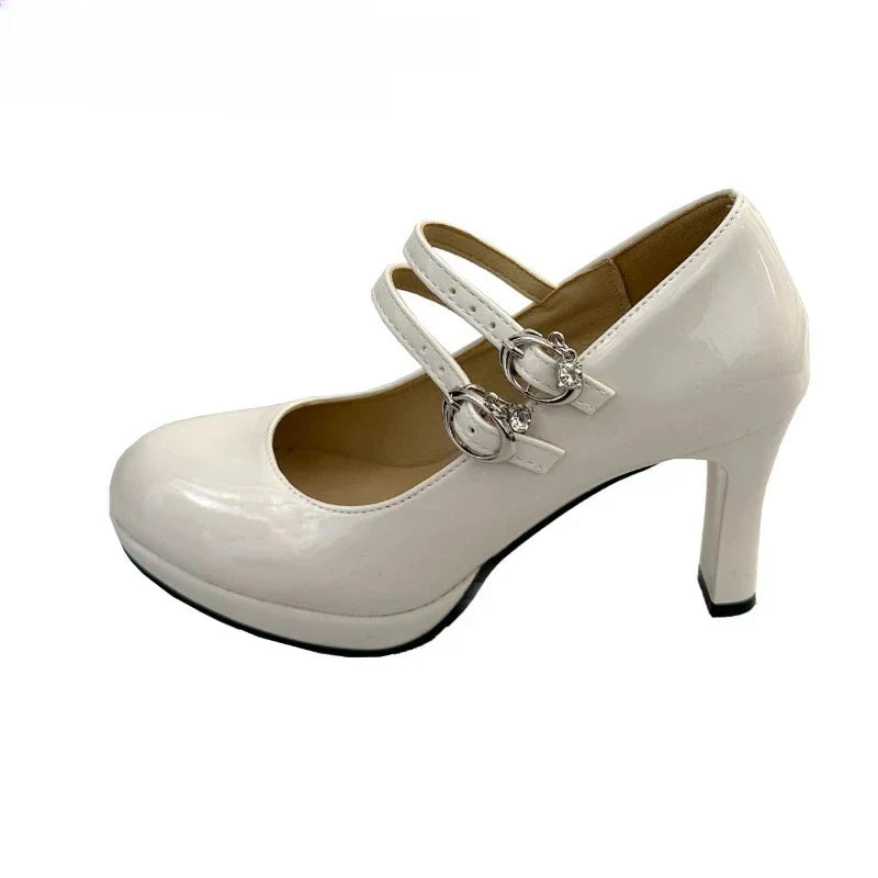 Thick Heel Mary Jane Shoes Concise Shallow Belt Buckle Shoes Outdoor Elegant Dress Dancing Pumps