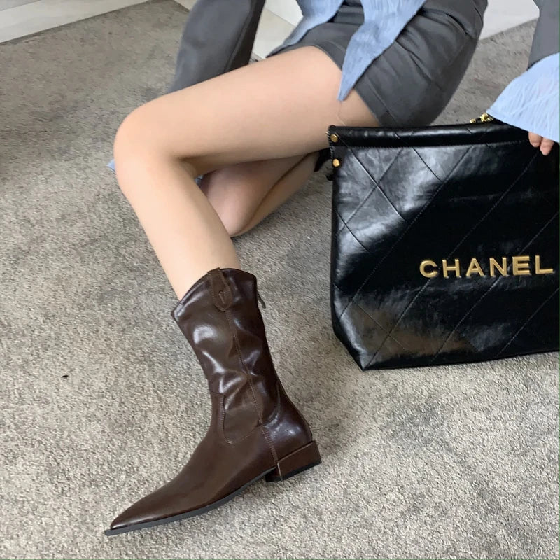 Black Pointed Toe Boots Woman Chunky Shoes Fall High Heels Brown Ankle Boots Back Zipper Shoes