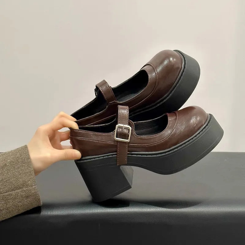 Vintage Platform Thick Bottom Mary Jane Shoes Shallow Round Toe Shoes Elegant Party Leather Shoes