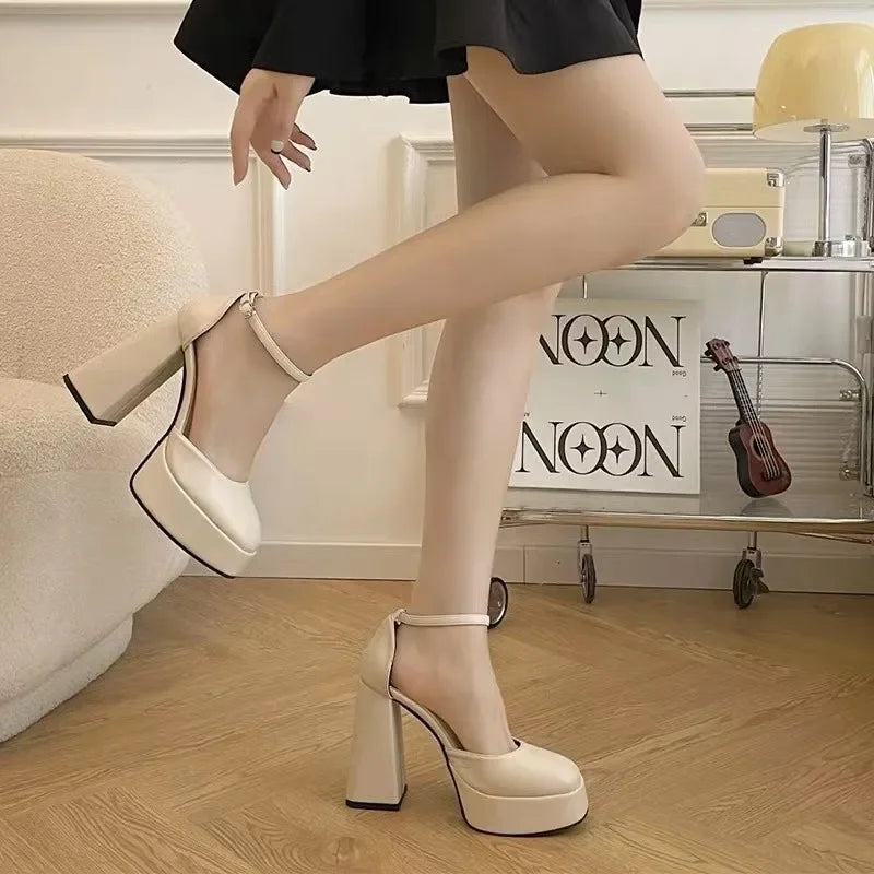 Mary Jane Shoes Thick Heels High Heels Waterproof Platform Hollow Brand